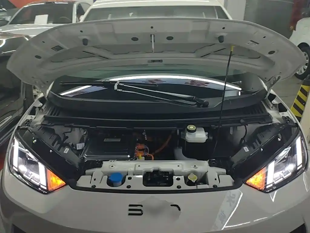 BYD Seagull 2025 Smart Drive Edition 305km Freedom Version фото 20
