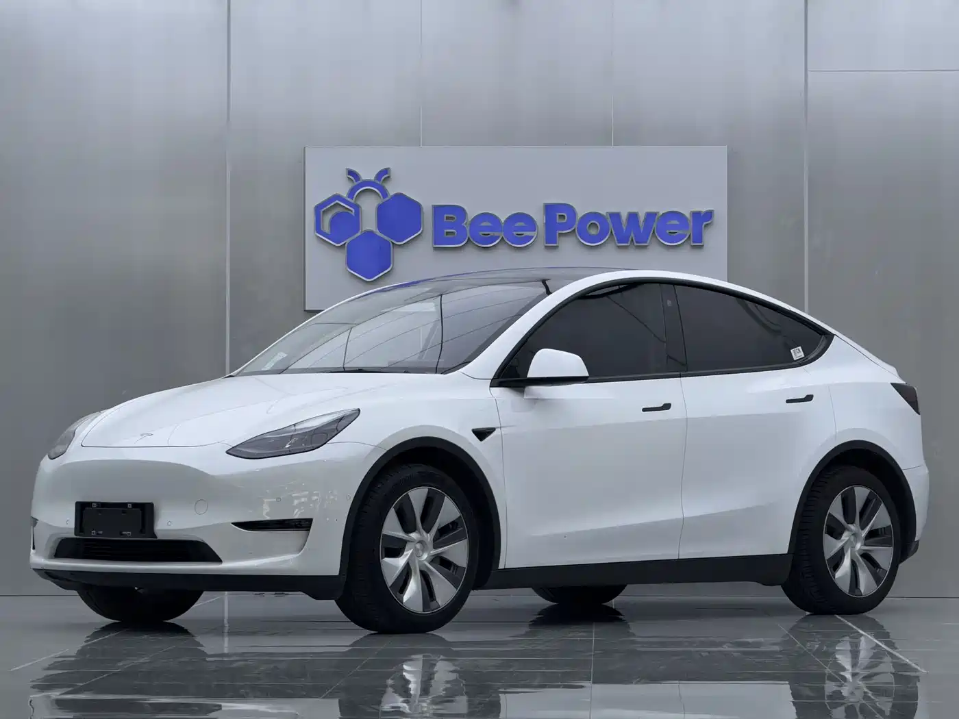 Tesla Model Y 2022 Rear-Wheel Drive Version