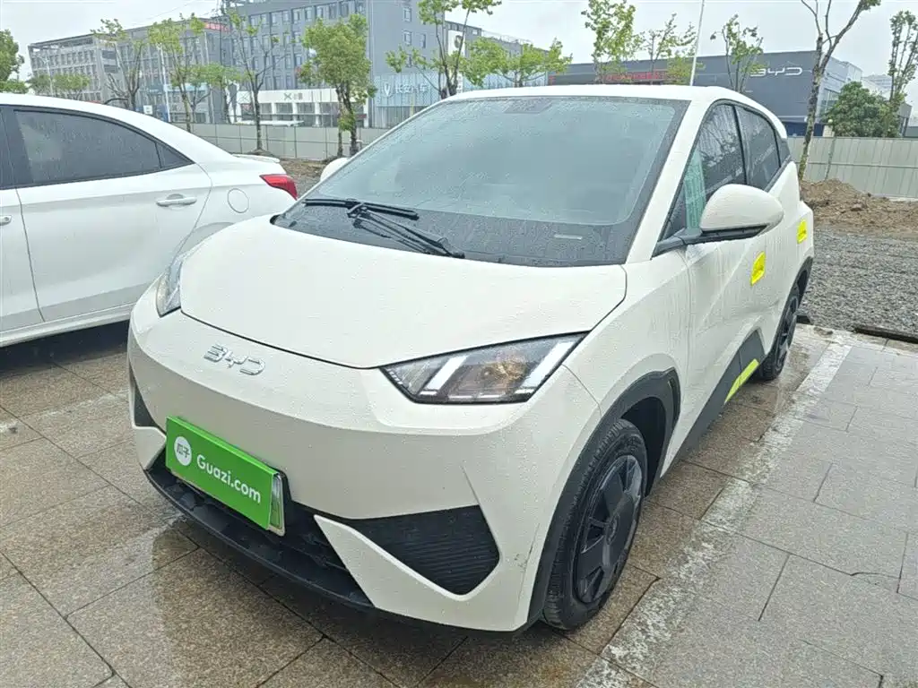 BYD Seagull 2025 Smart Drive Edition 305km Vitality Version фото 2
