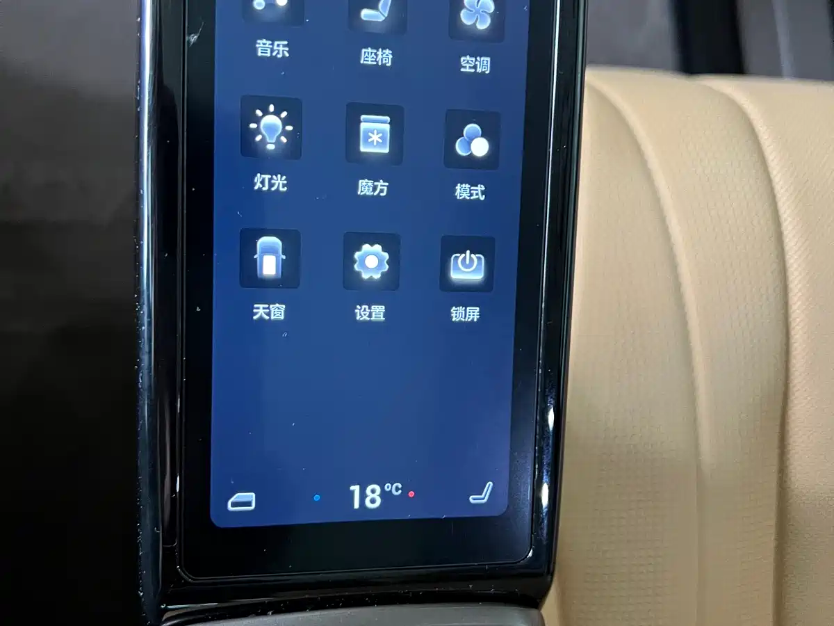 Denza D9 2022 DM-i 970 AWD Flagship фото 27