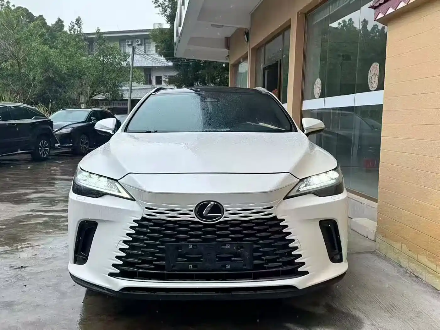 LEXUS RX