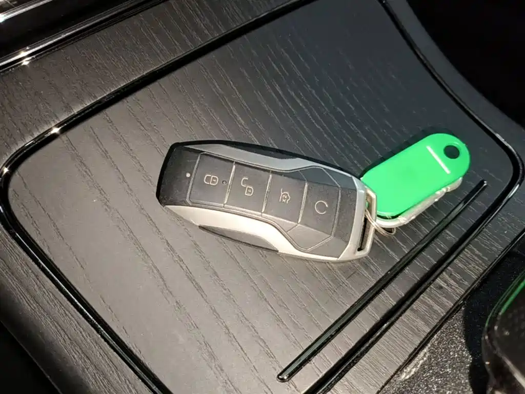 BYD Han 2020 EV Extended Range Premium фото 9