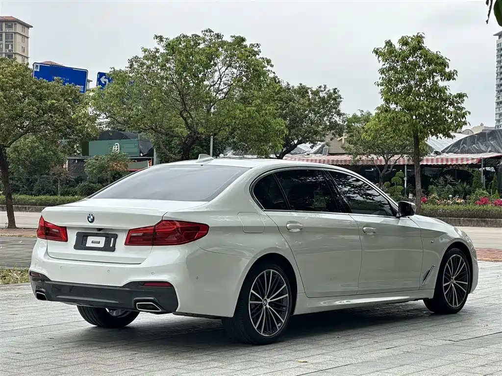 BMW 5 Series 2020 530Li Exclusive M Sport Package фото 8