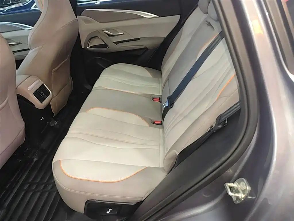 BYD Song Pro New Energy 2023 Champion Edition DM-i 110KM Excellence фото 17