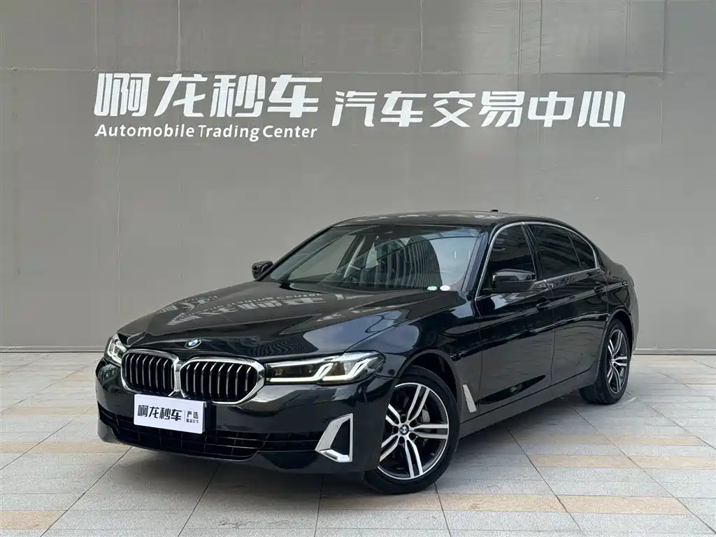 BMW 5 Series 2021 530Li Leading Luxury Package