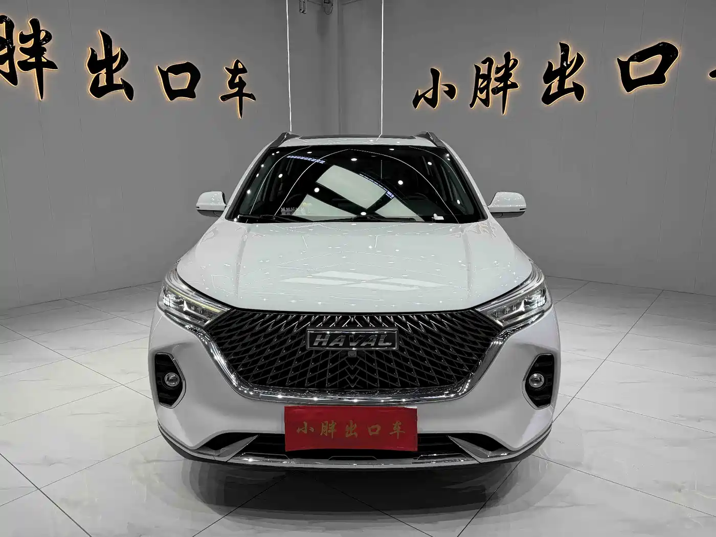 HAVAL M6