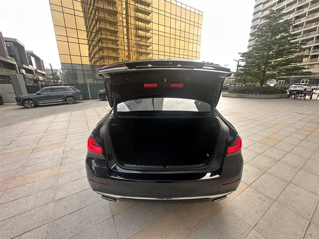 BMW 5 Series 2021 530Li Leading Luxury Package фото 18