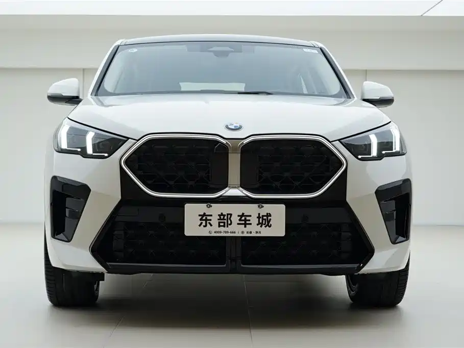 BMW X2 (Import) 2024 sDrive25i M Sport Package фото 2