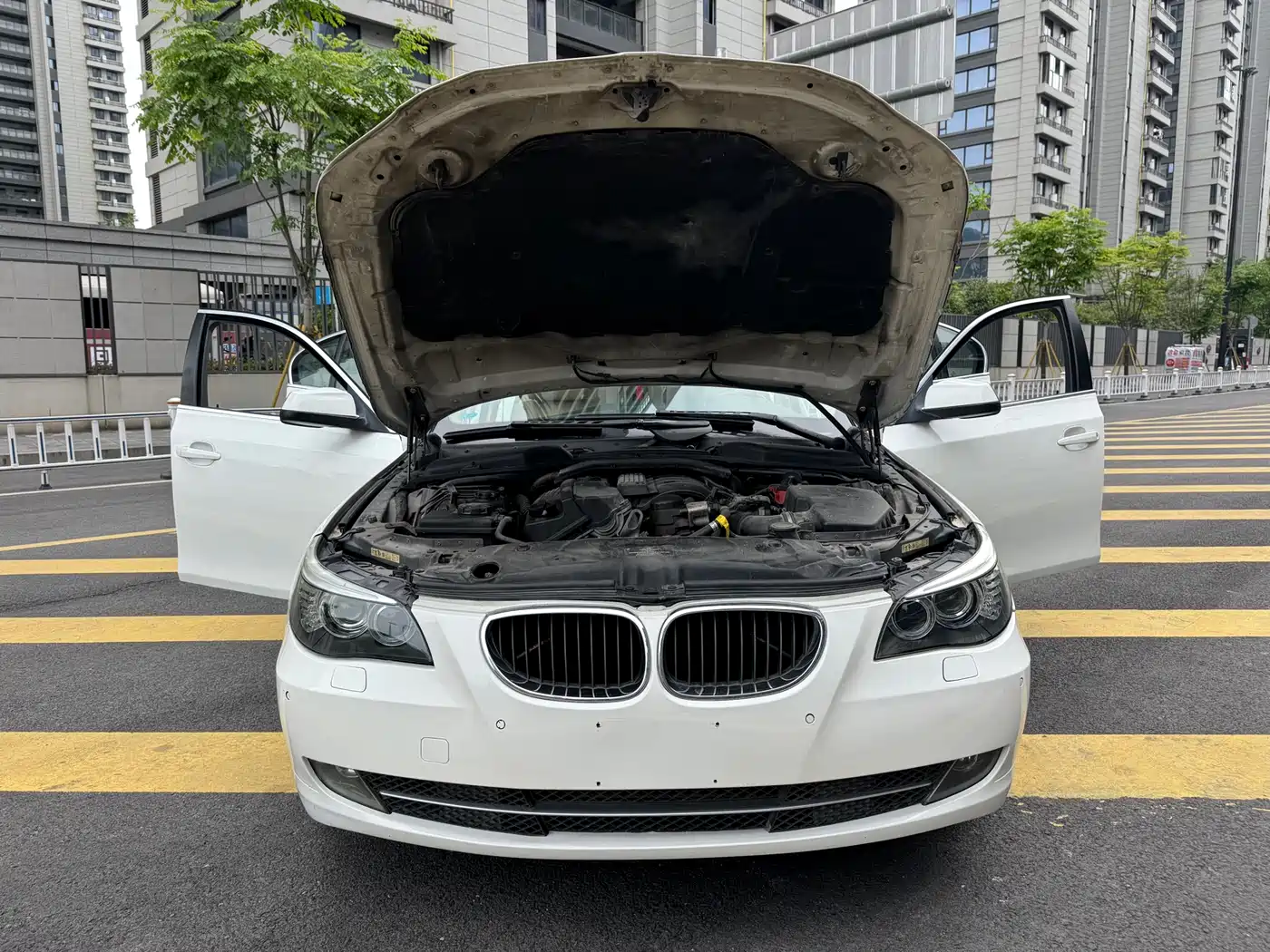 BMW 5 Series 2009 520Li Premium фото 15