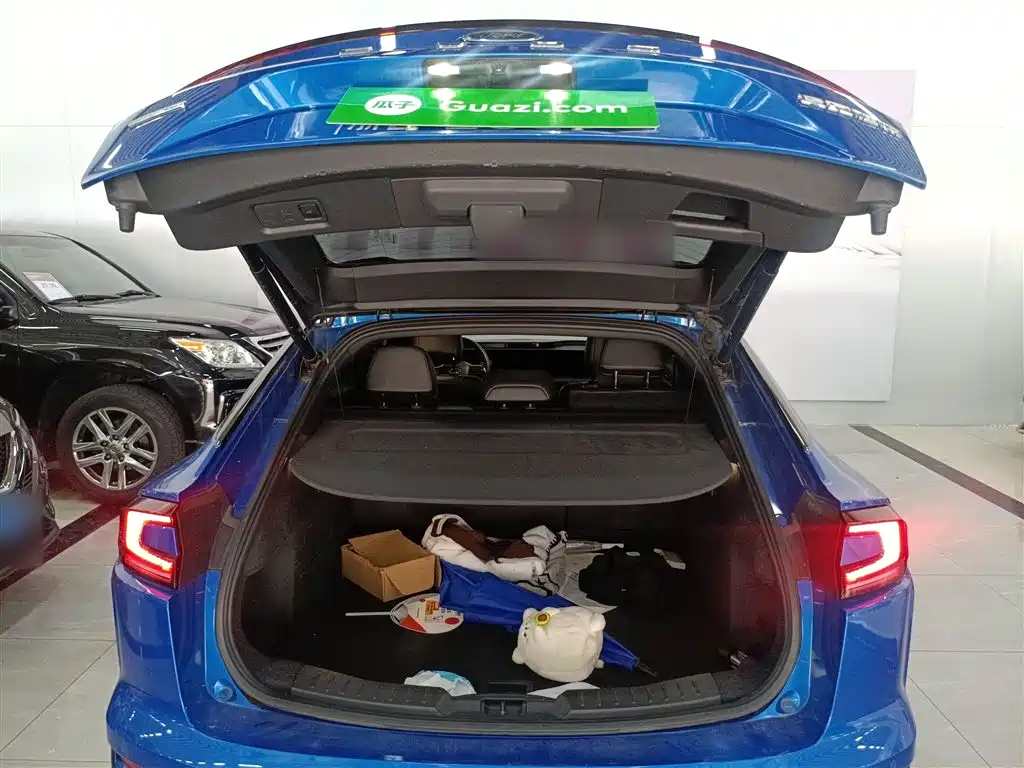 FORD EVOS