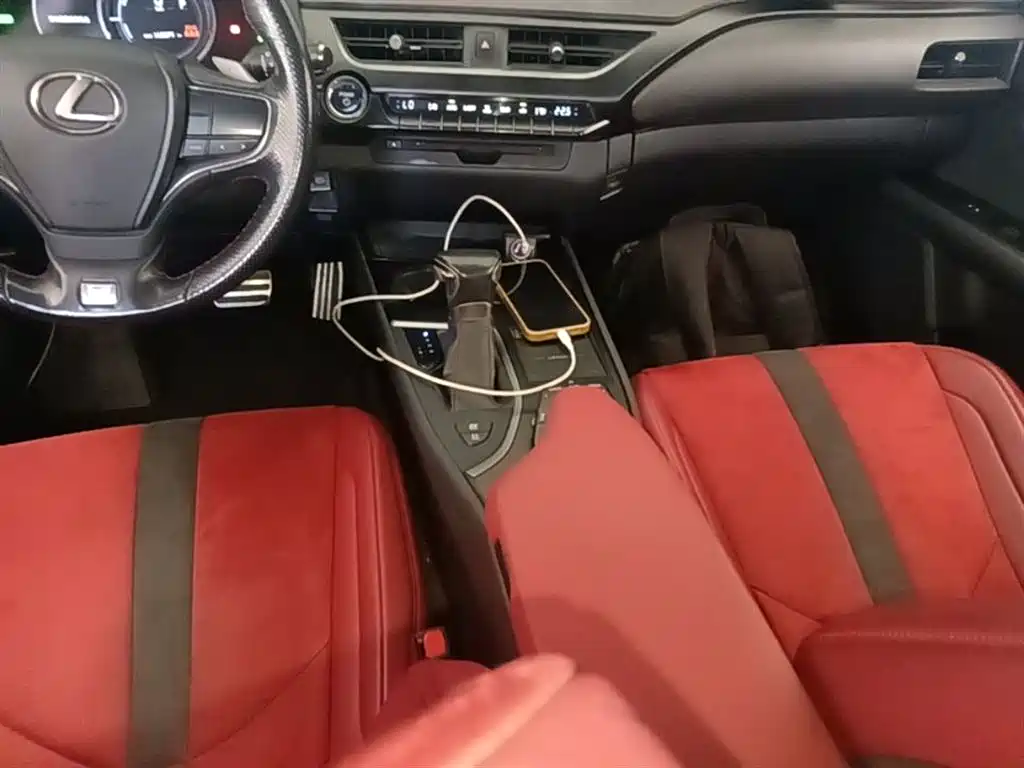 Lexus UX 2019 260h F SPORT Edition China VI фото 14