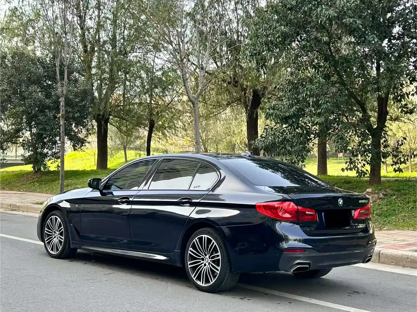BMW 5 Series 2019 530Li Leading M Sport Package фото 6
