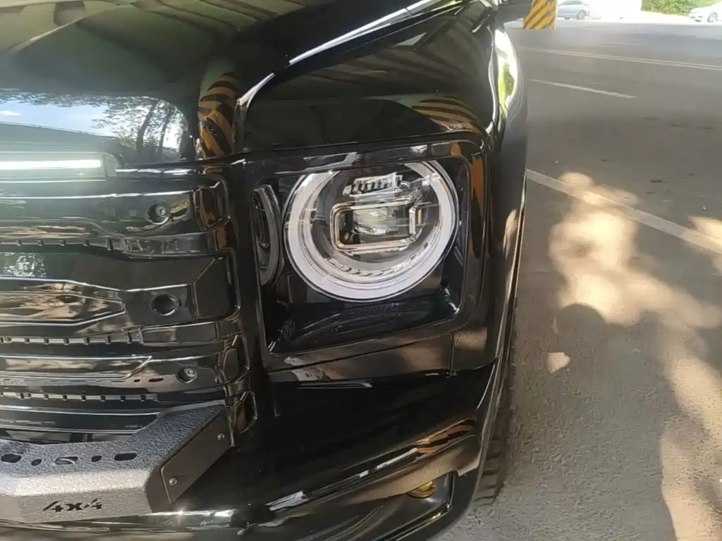 Haval H9 2025 2024 2.0T Gasoline AWD Extreme Edition