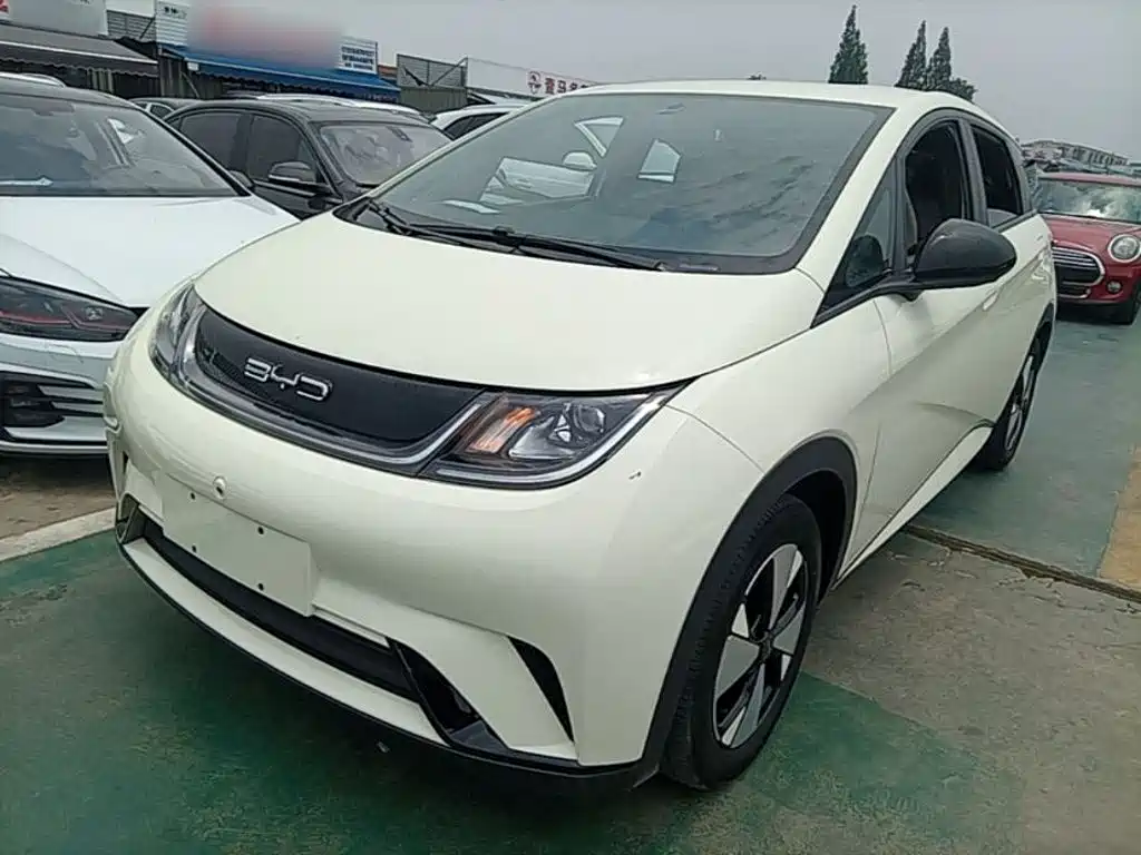 BYD Dolphin 2023 420km Freedom Edition