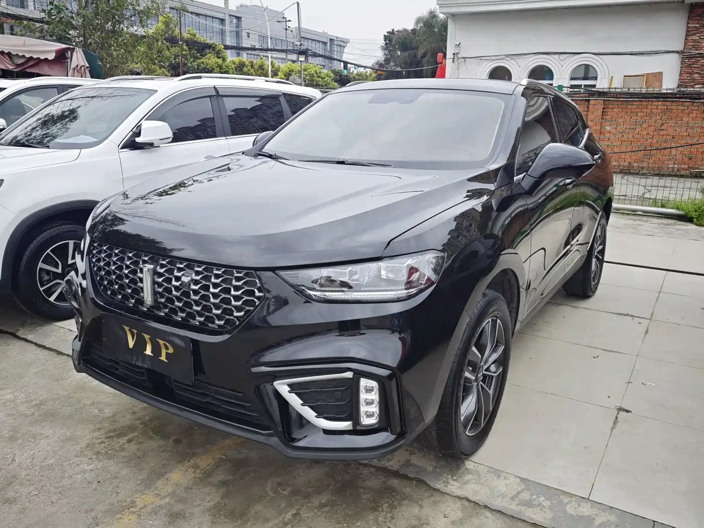 WEI PAI WEI BRAND VV5