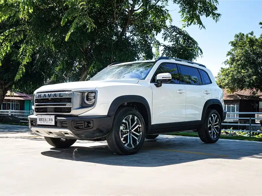 Haval Big Dog 2024 Model 1.5T DCT Labrador Edition