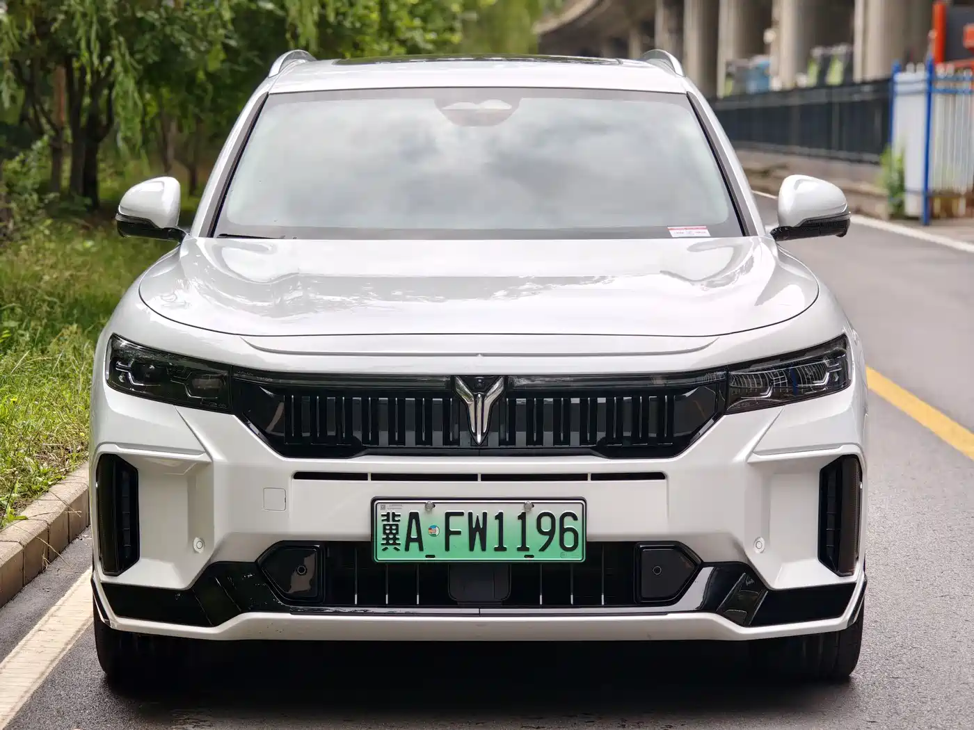 Voyah Auto VOYAH FREE 2024 Ultra Long Range Intelligent Driving Edition
