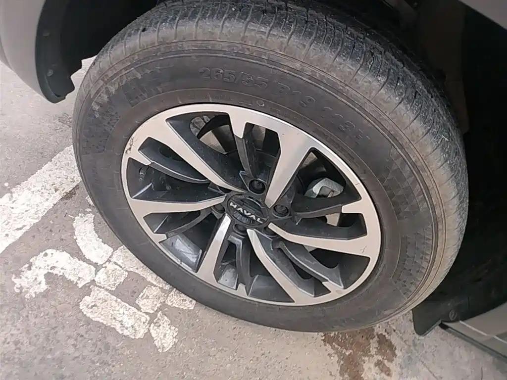 Haval H9 2024 2.0T Gasoline AWD Extreme Edition фото 23