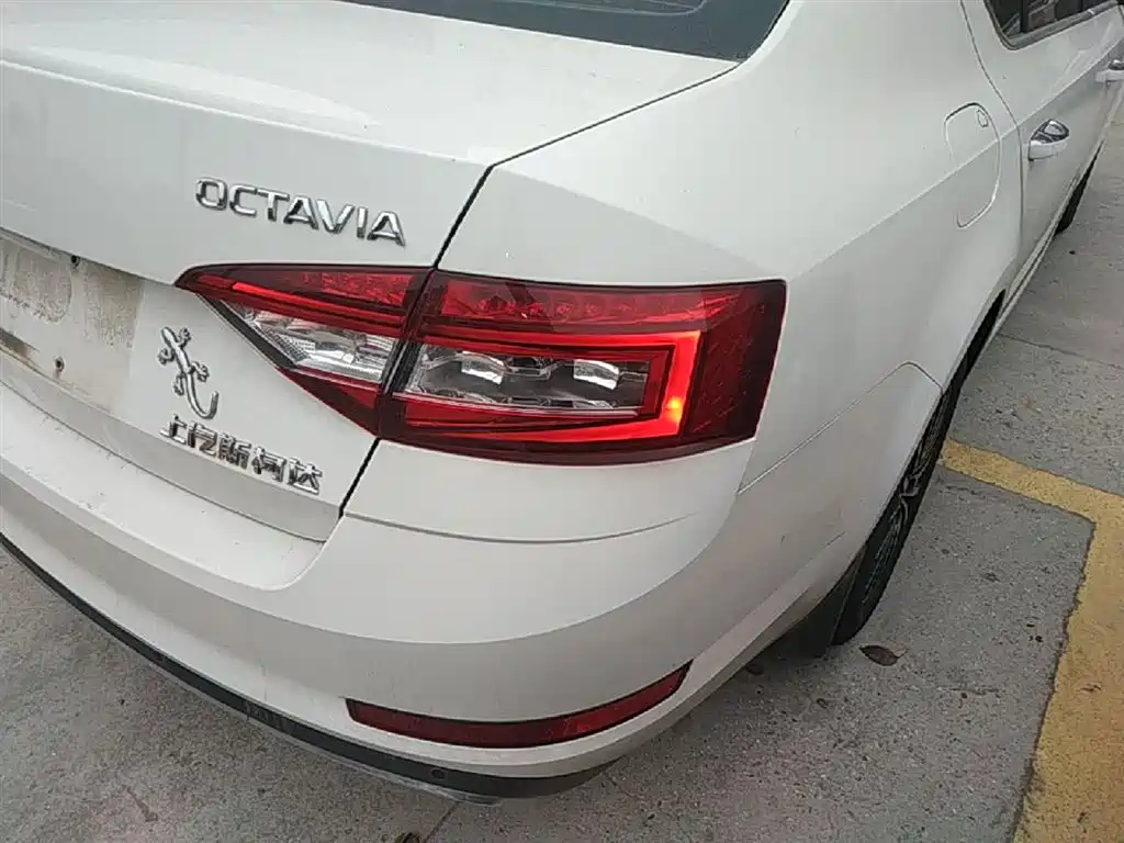 Škoda Octavia 2019 TSI230 DSG Luxury Edition фото 8