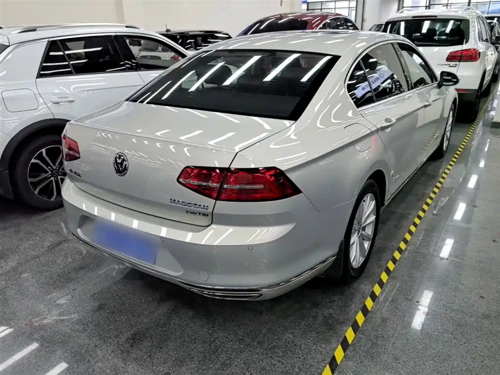Volkswagen Magotan 2019 330TSI DSG Leading China V фото 7