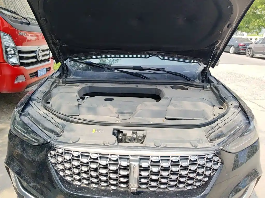 WEY VV6 2021 2021 2.0T 2WD Smart Protection+