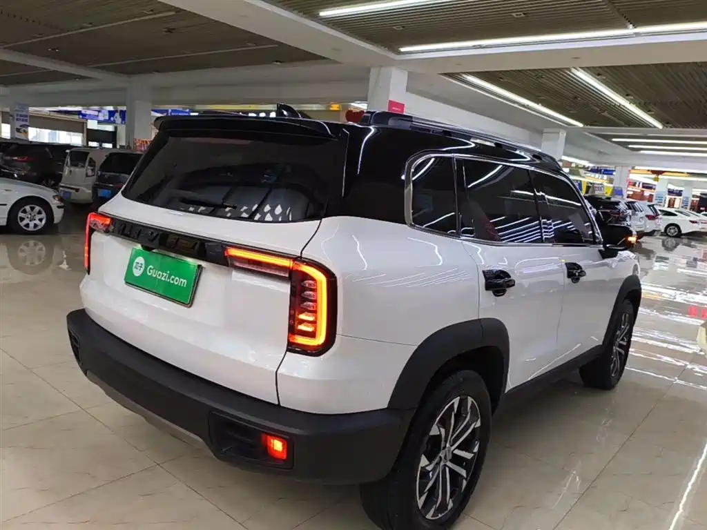 Haval Big Dog 2021 1.5T DCT 2WD Border Collie - Wangcai Edition фото 7