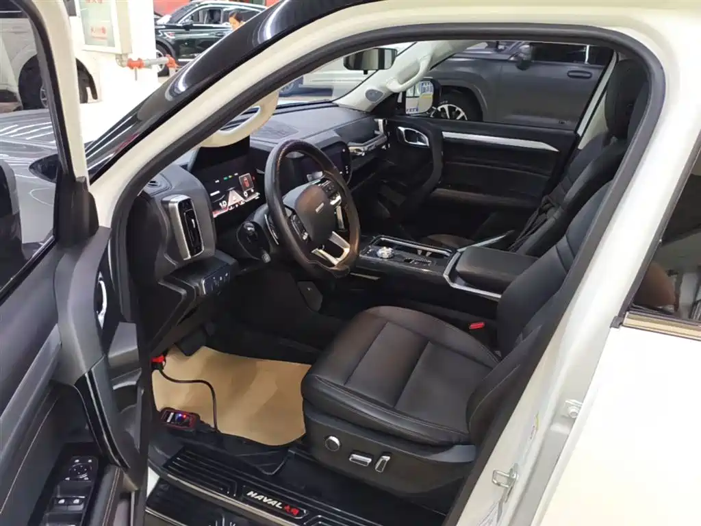 Haval Big Dog 2021 1.5T DCT 2WD Border Collie - Wangcai Edition фото 16