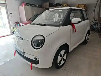 Changan Lumin