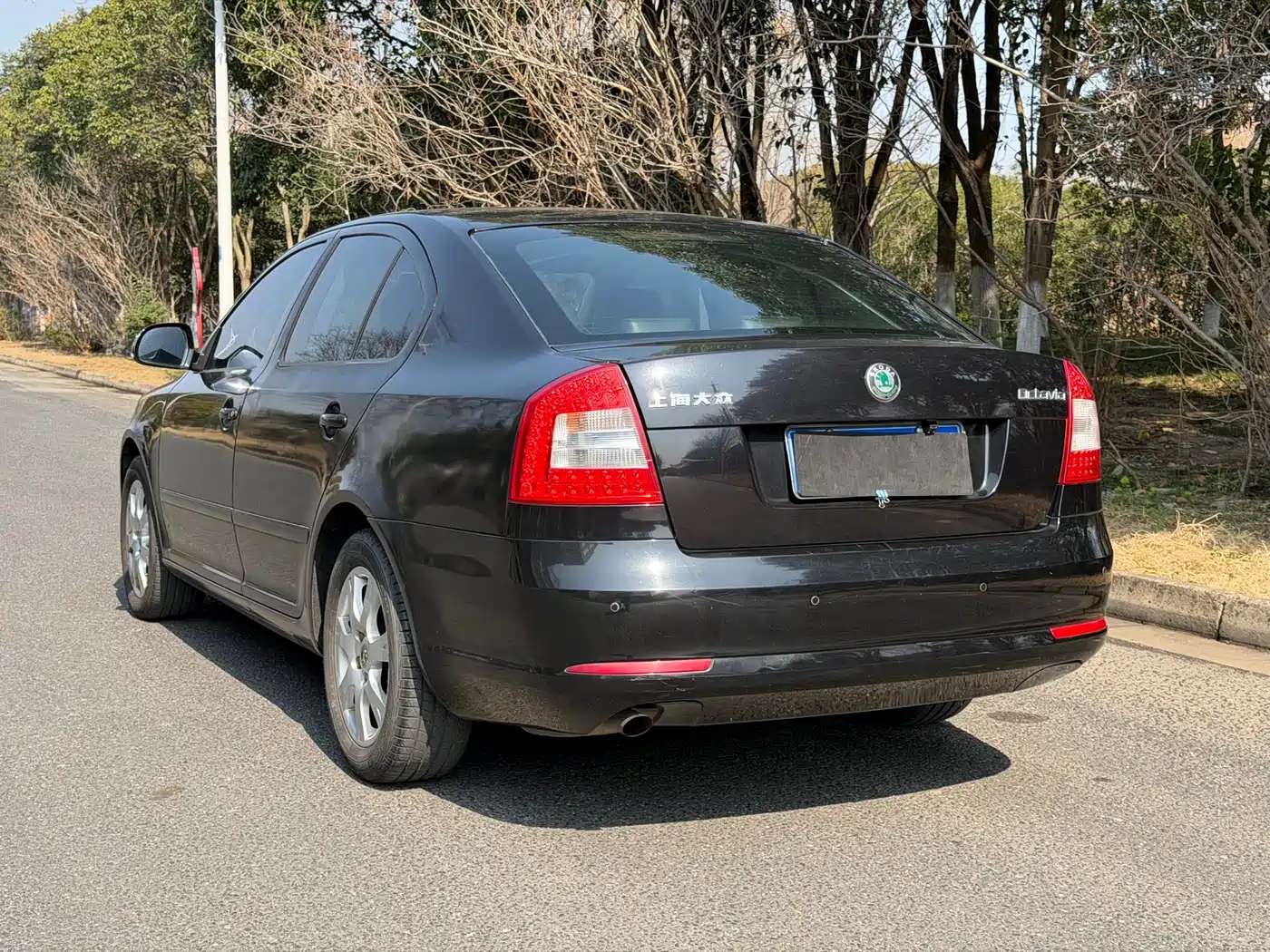 Škoda Octavia 2013 1.6L Automatic Elite Edition фото 4