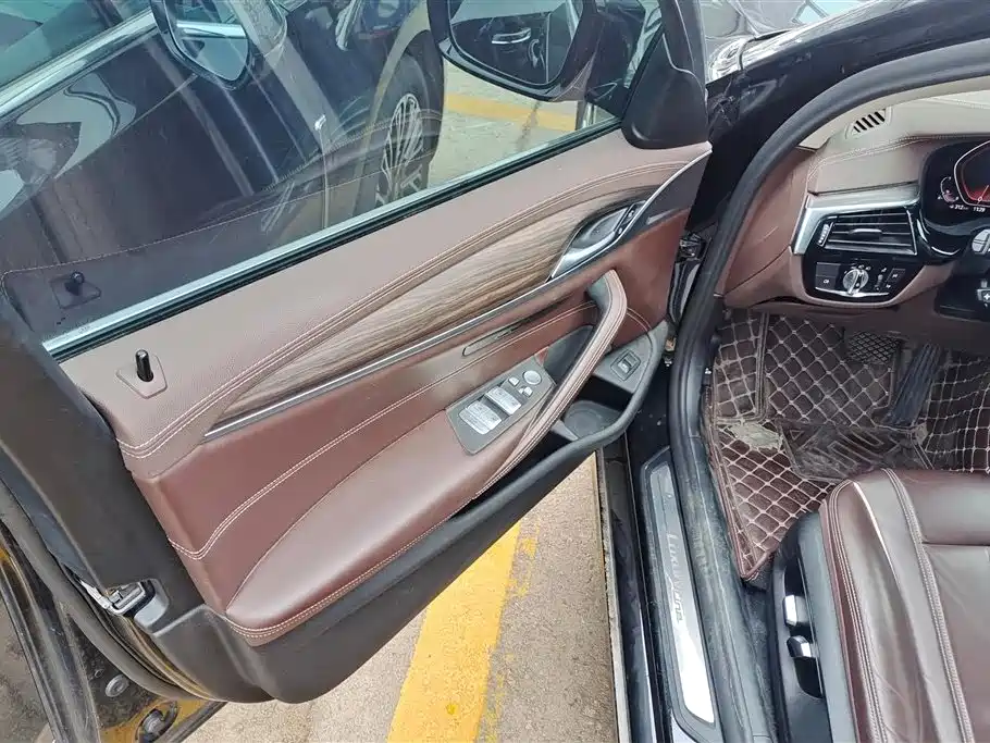 BMW 5 Series 2020 530Li xDrive Luxury Package фото 7