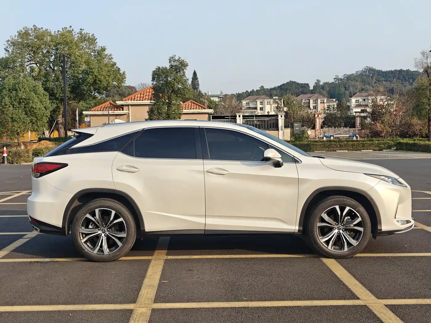 Lexus RX 2020 300 4WD Elegance Edition China VI фото 6