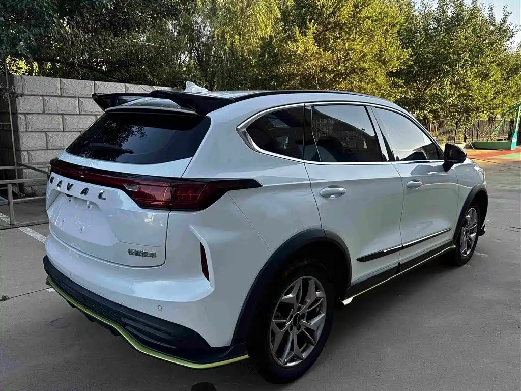 Haval Chitu 2022 2022 Power Edition 1.5T Purple Copper Rabbit