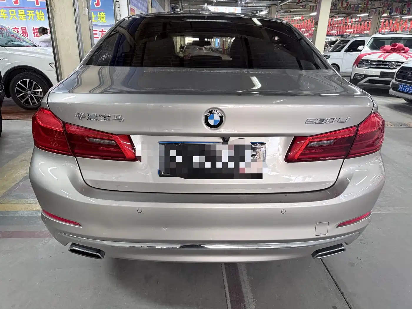 BMW 5 Series 2019 530Li Leading Luxury Package фото 18
