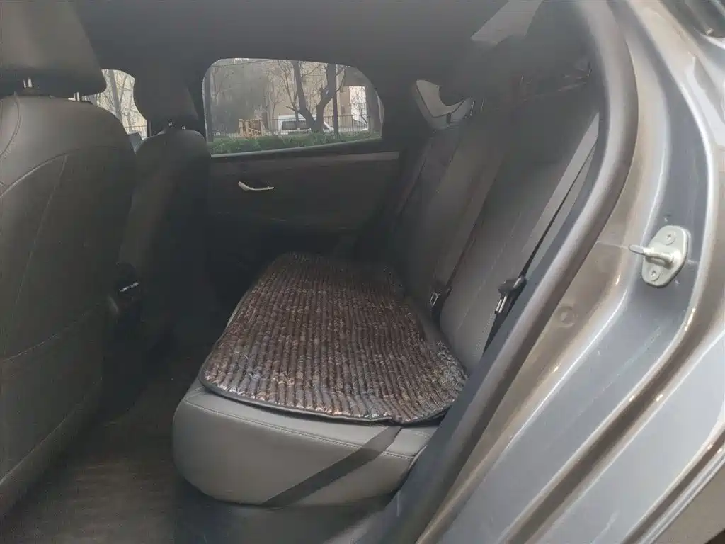 BYD Qin PLUS 2025 DM-i Smart Drive 55KM Leader фото 15
