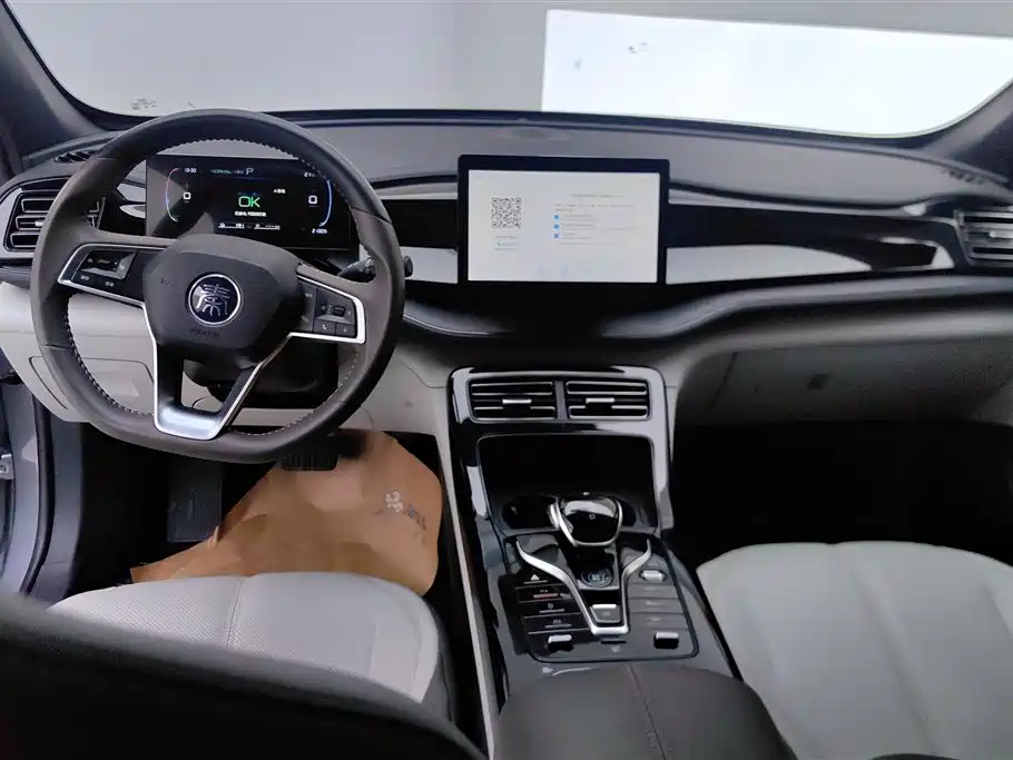 BYD Qin PLUS 2024 Glory Edition DM-i 55KM Leading фото 12