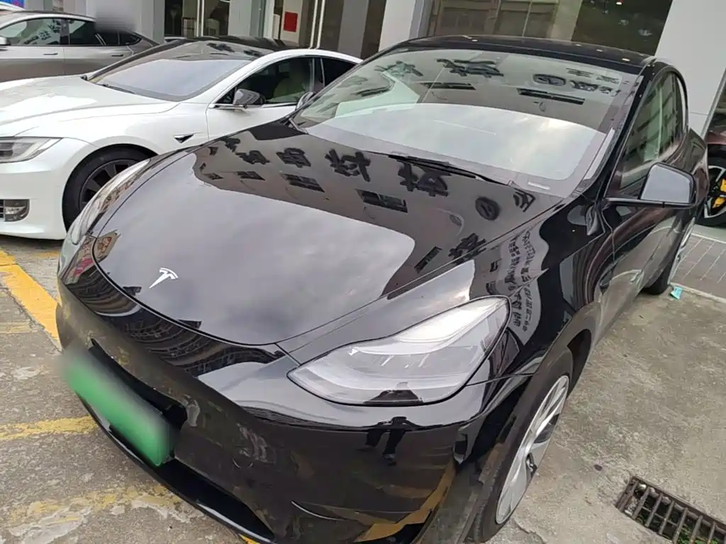 Tesla Model Y 2022 Rear-Wheel Drive Version