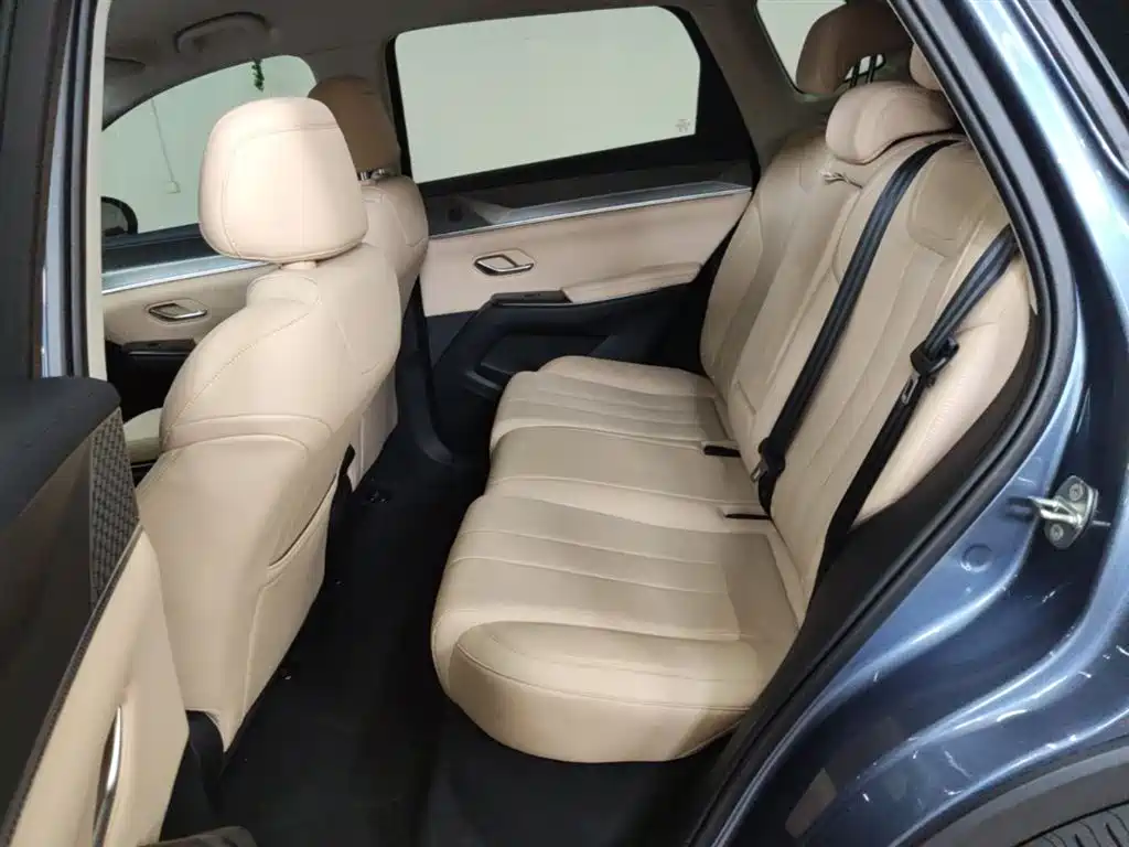 BYD Song Pro New Energy 2025 2nd Generation Smart Drive Edition DM-i 75KM Leading Type фото 17