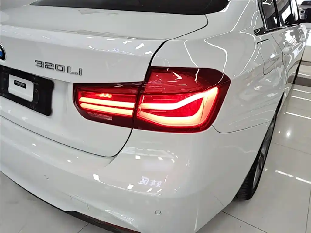 BMW 3 Series 2019 320Li M Sport Black Night Edition фото 8