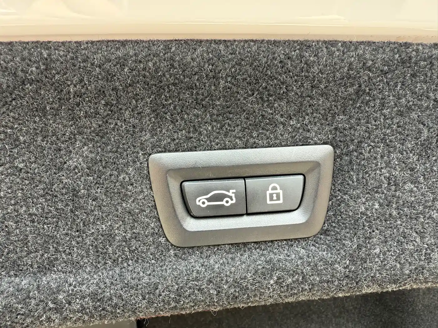 BMW 3 Series 2021 325Li M Sport Package фото 8