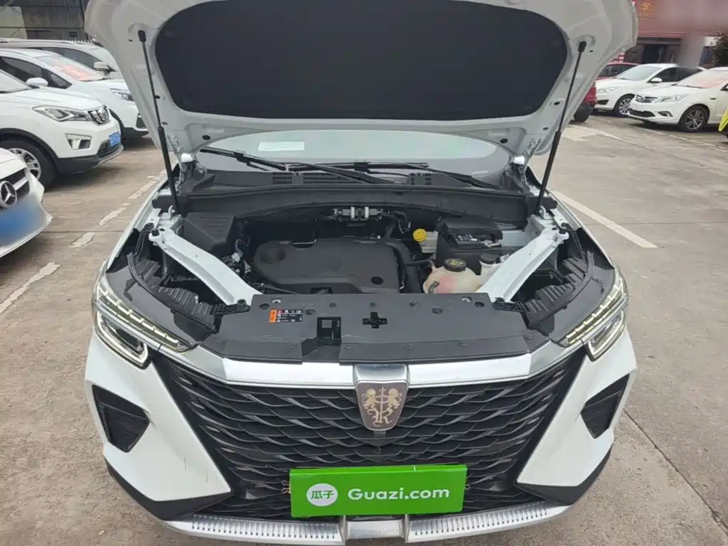 Фото 20 - Roewe RX5