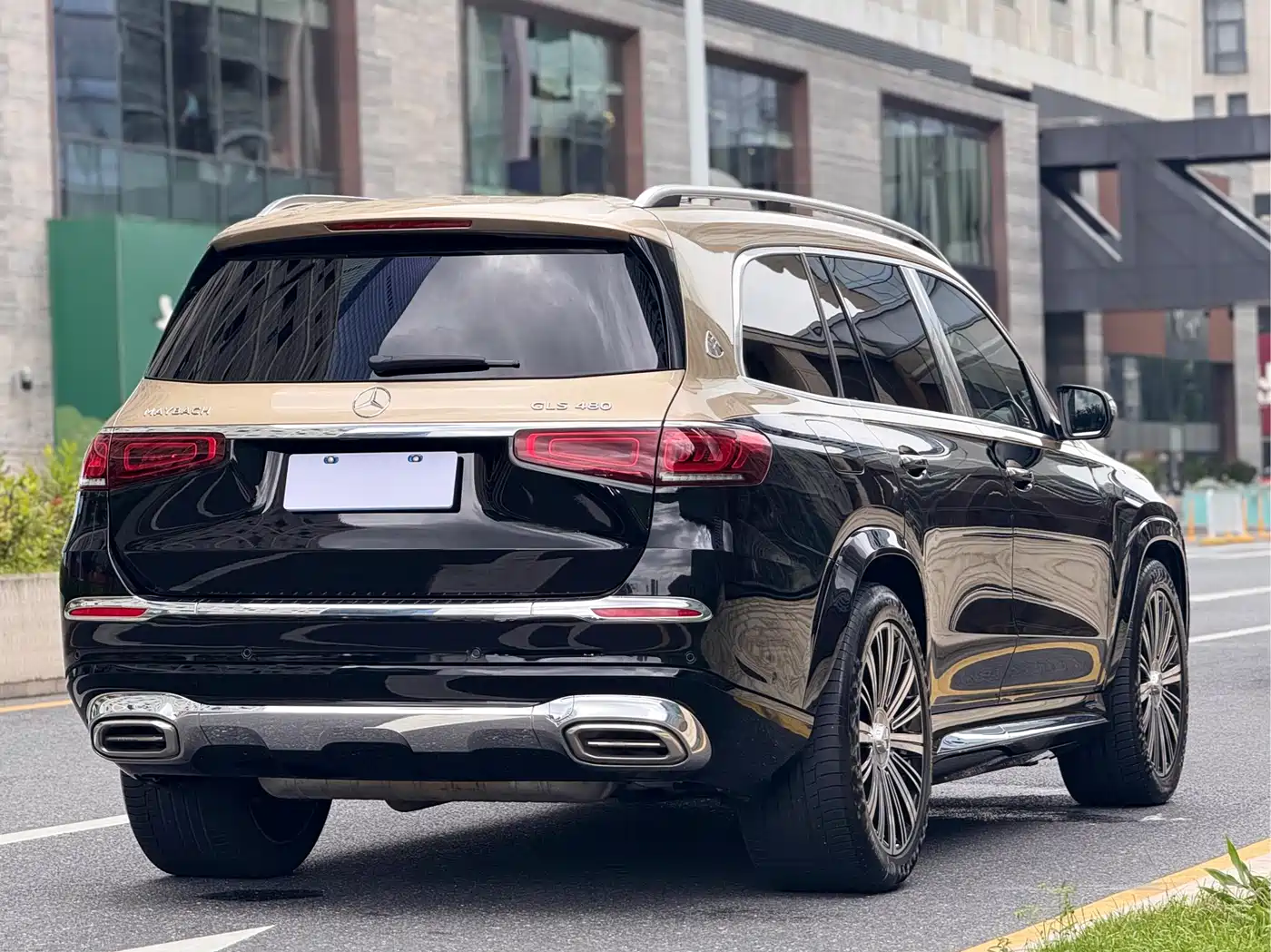 Mercedes-Benz Maybach GLS 2022 GLS 480 4MATIC фото 5