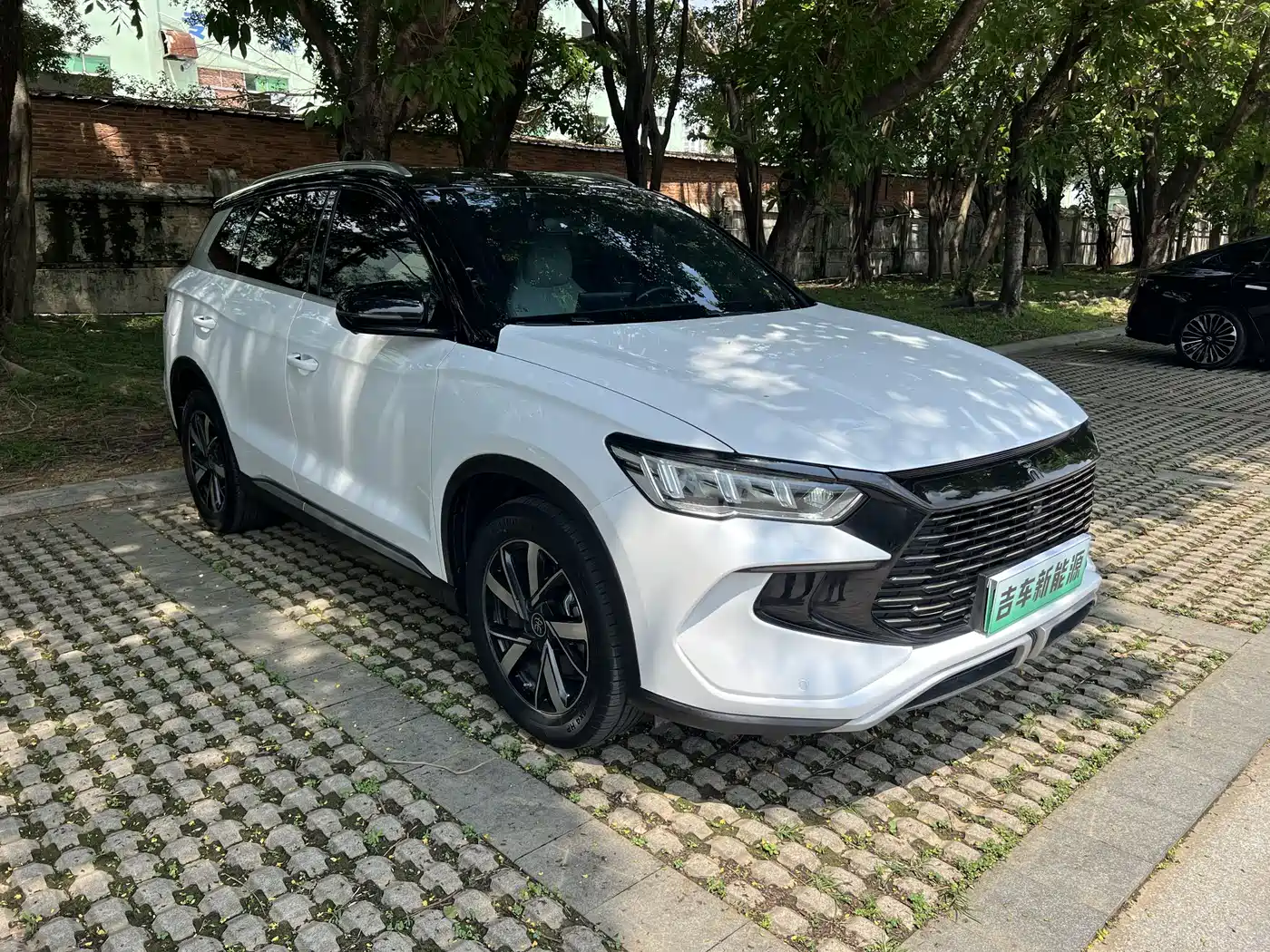 BYD Song Pro New Energy 2024 Glory Edition DM-i 71KM Leading фото 9