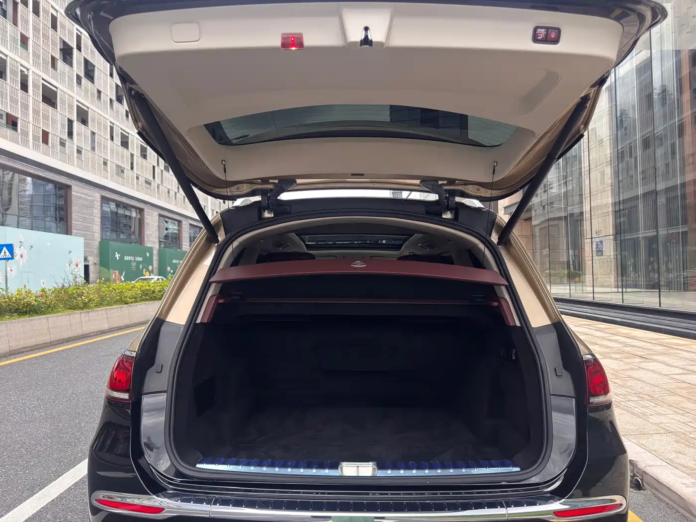 Mercedes-Benz Maybach GLS 2022 GLS 480 4MATIC фото 32