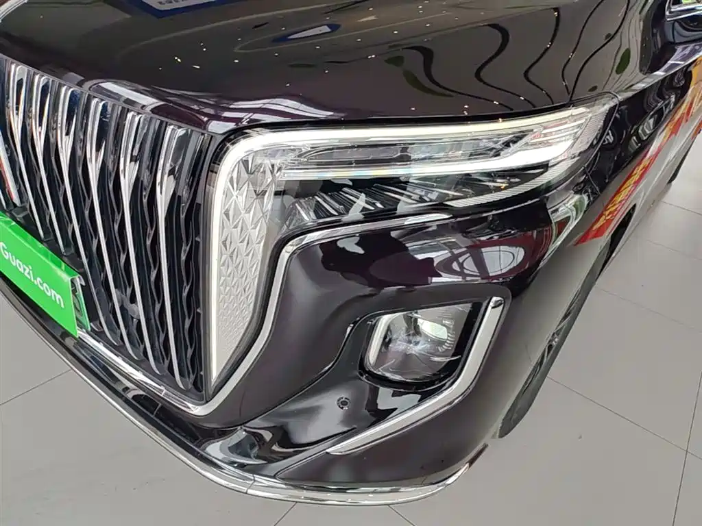 Hongqi HQ9 PHEV 2024 Model 2.0T AWD Luxury Edition фото 24