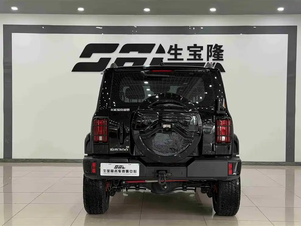 Tank 300 2024 2.0T Explorer фото 5