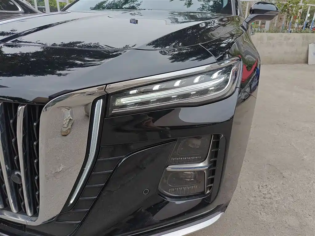 Hongqi H5 2024 2.0T Automatic Smart Connect Flag Smooth Edition фото 18