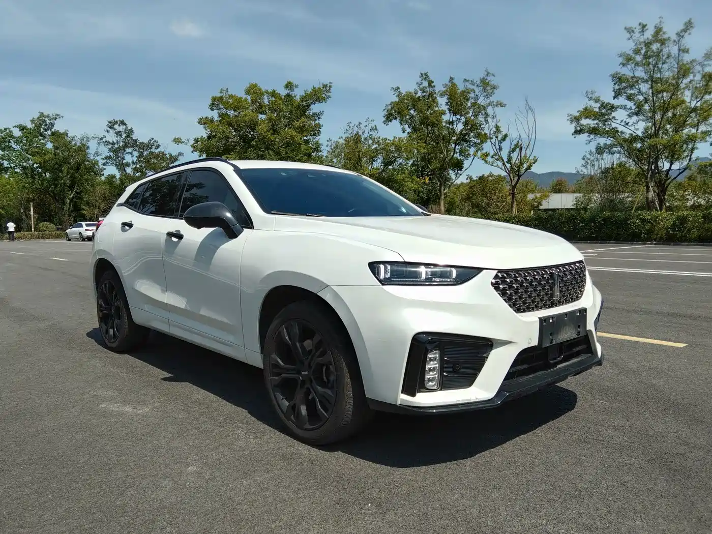 WEY VV7 2020 2020 Model 2.0T Flagship