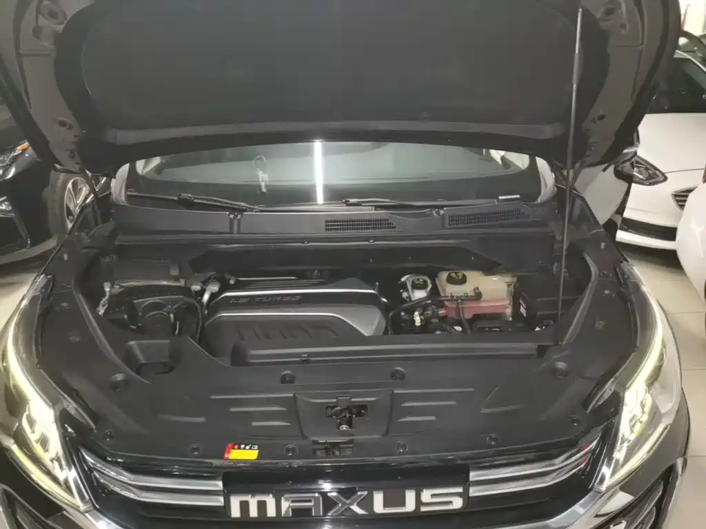 Фото 20 - Maxus Maxus G50