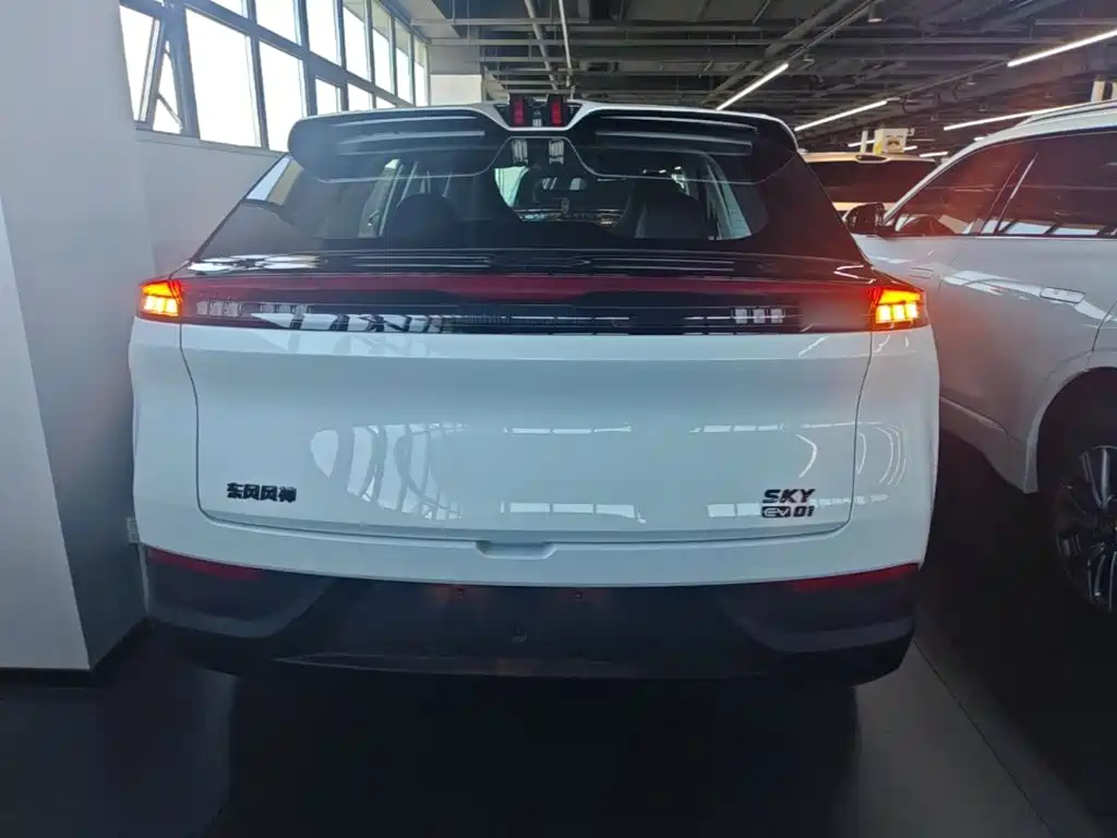 Фото 6 - Dongfeng Aeolus SKY EV01