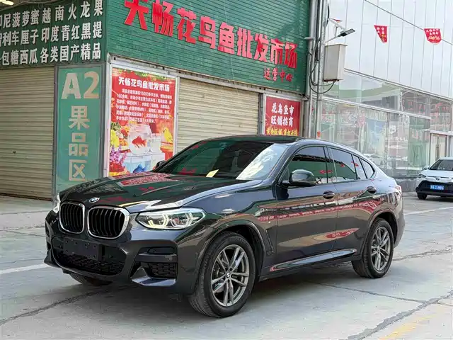 BMW X4 2020 xDrive25i M Sport Package